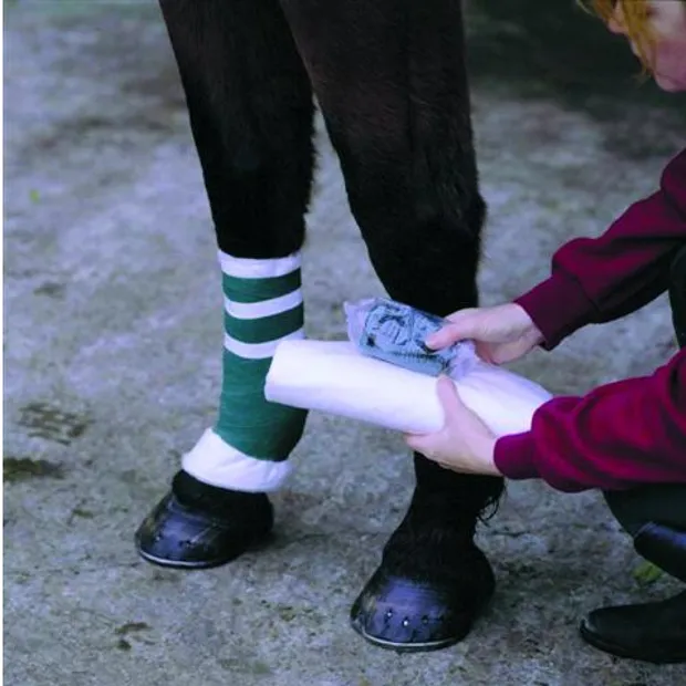 3M Animalintex Vet Gamgee Tissue 12"