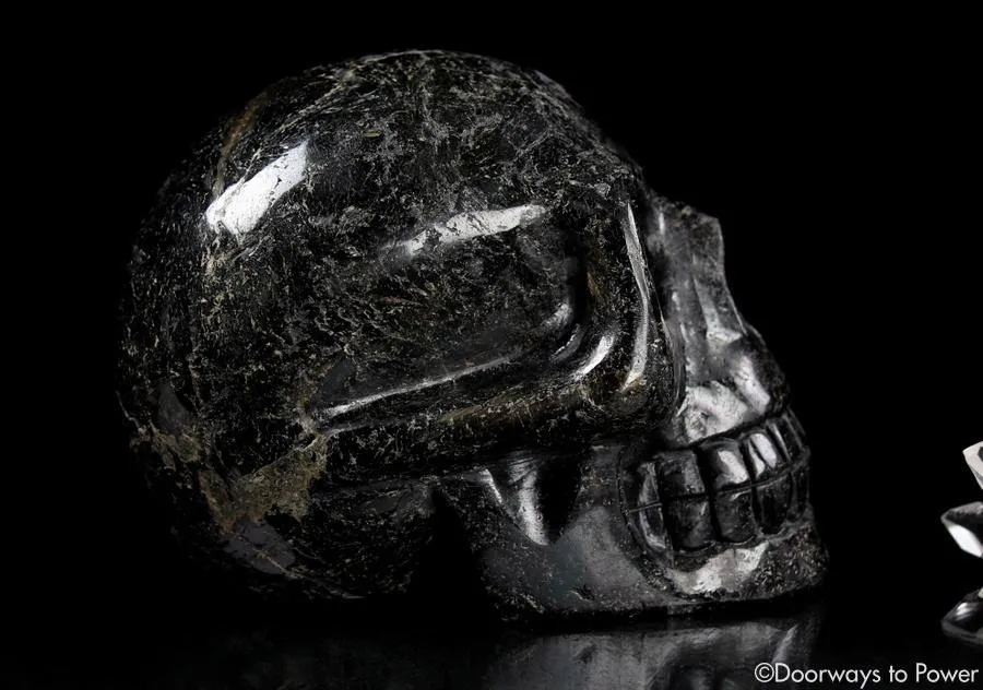 Ancient XL Nuummite Crystal Skull Rare 3 Billion Years Old