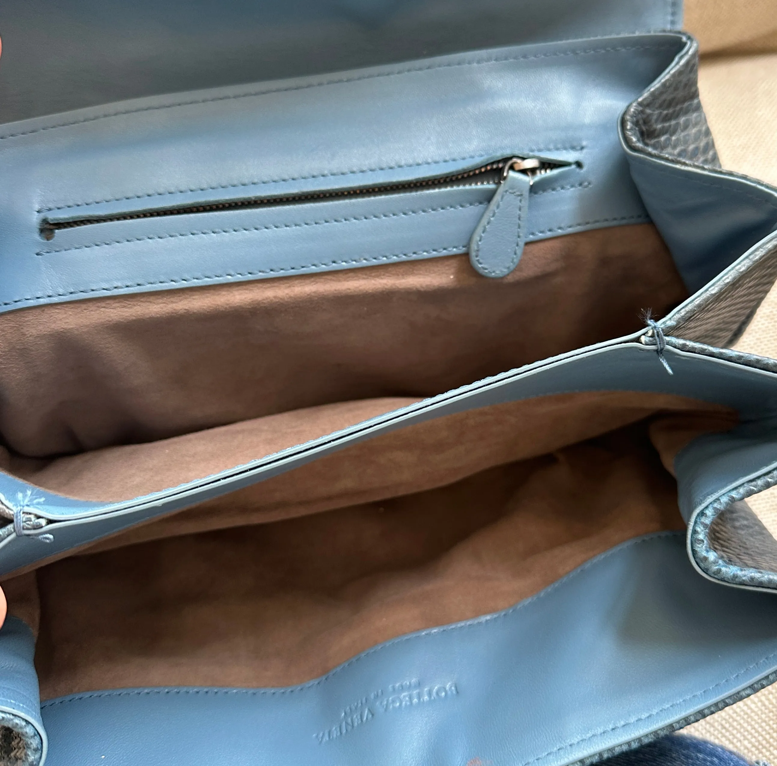 Blue Phyton Clutch