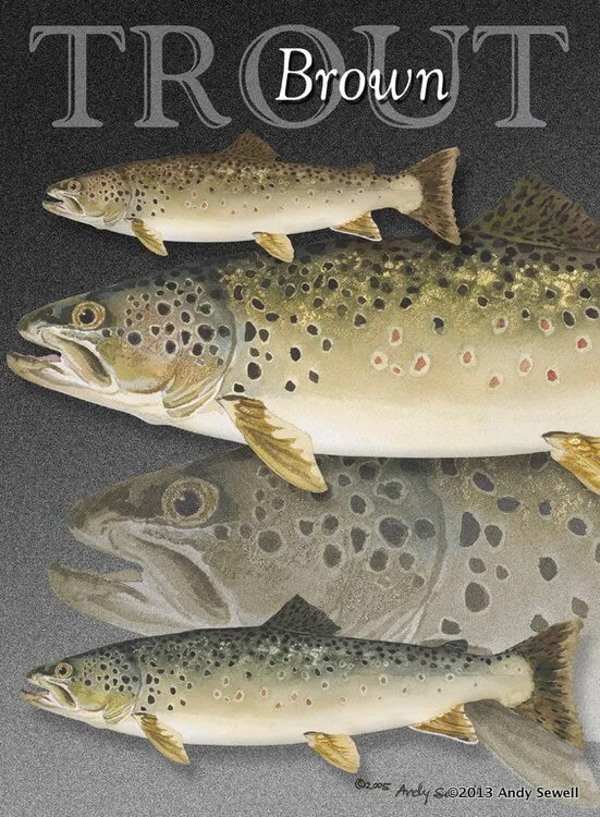 "GRAND SLAM TROUT" - signed giclee reprod. of the Grand Slam of Trout.