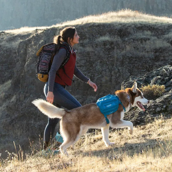 RSG Dog County Harness