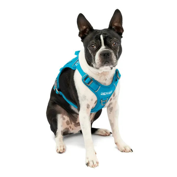 RSG Dog County Harness