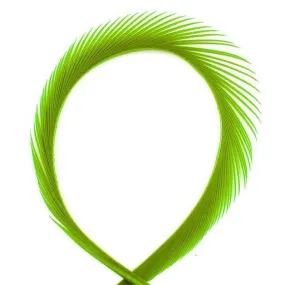 Shor- Goose Strips