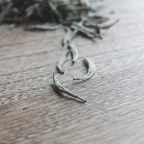 Very Rare Silver Tip